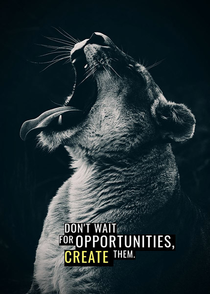 Create Opportunities animal motivational Poster