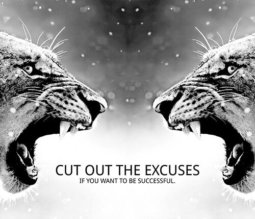 Cut out the Excuses animal motivational Poster