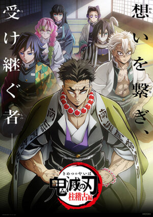 Demon Slayer Kimetsu no Yaiba Hashira Training Arc Poster