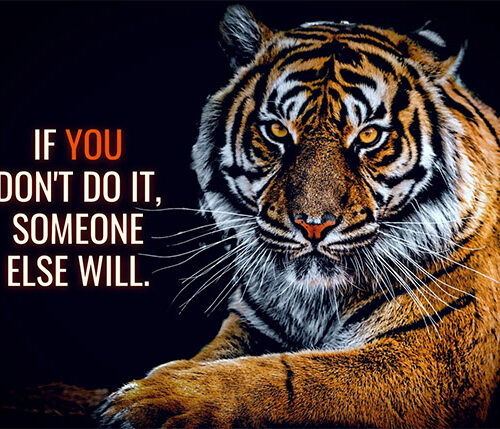 Do it or Someone else will animal motivational Poster
