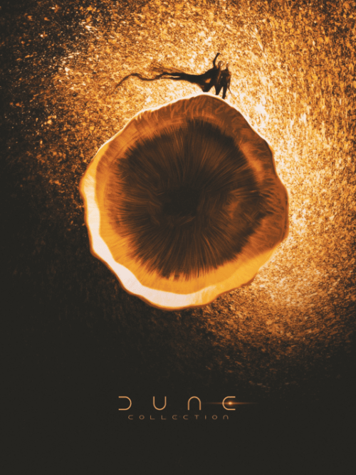 Dune Collection Movie Poster