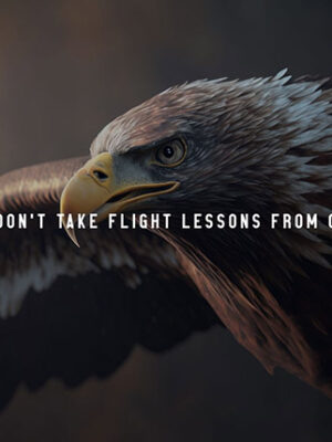 Eagles don't take flight lessons from chickens animal motivational Poster