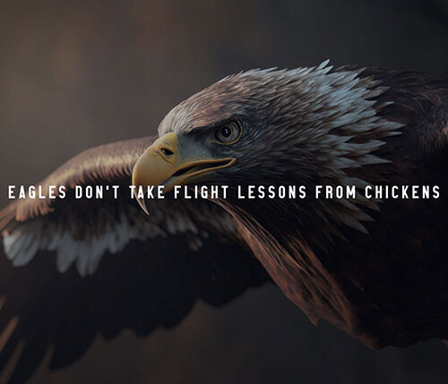Eagles don't take flight lessons from chickens animal motivational Poster