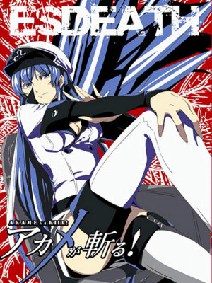 Esdeath anime Poster