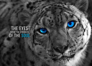 Eyes show the Strength of soul motivational Poster