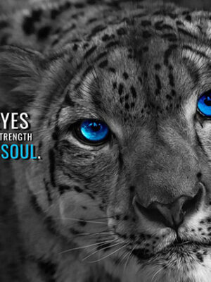 Eyes show the Strength of soul motivational Poster