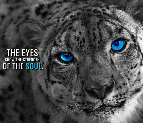 Eyes show the Strength of soul motivational Poster