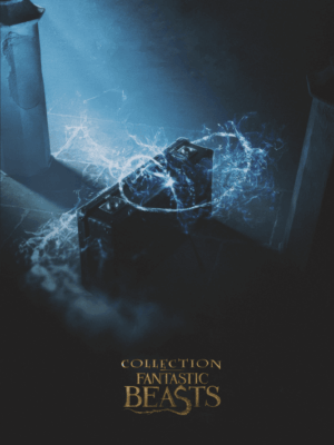 Fantastic Beasts Collection Movie Poster