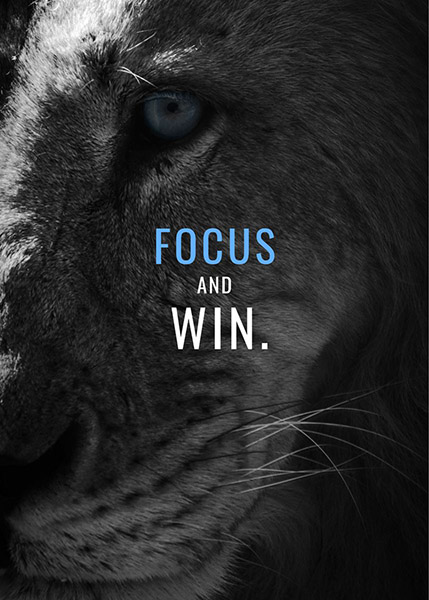 Focus and win animal motivational Poster