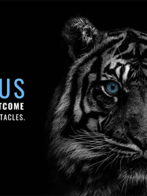 Focus on Outcome Not on obstacles animal motivational Poster