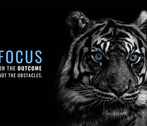 Focus on Outcome Not on obstacles animal motivational Poster