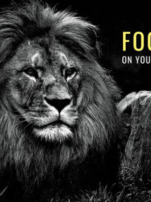 Focus on Your Goals animal motivational Poster