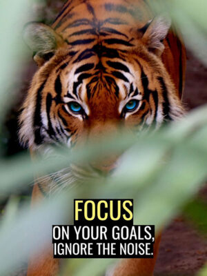 Focus on your goals ignore the noise motivational Poster