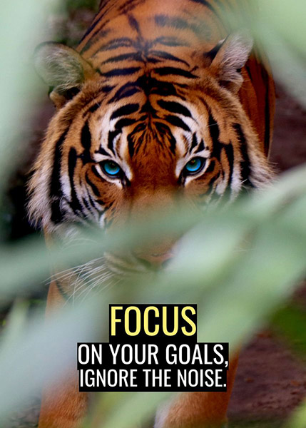 Focus on your goals ignore the noise motivational Poster
