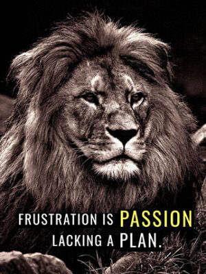 Frustration is Passion Lacking a Plan animal motivational Poster