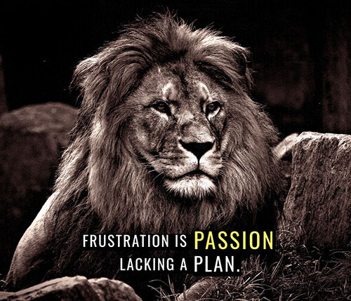 Frustration is Passion Lacking a Plan animal motivational Poster