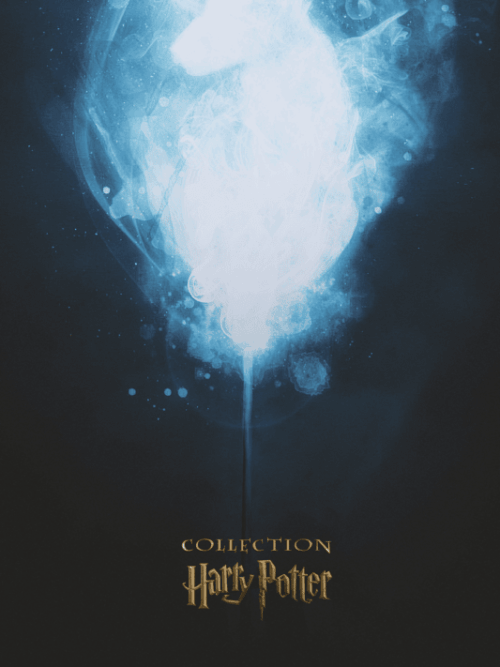 Harry Potter Collection Movie Poster