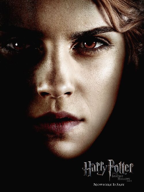 Harry Potter Hermione Portrait Poster