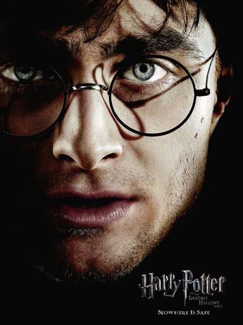 Harry Potter Portrait Poster