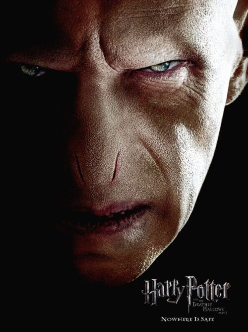 Harry Potter Voldemort Portrait Poster