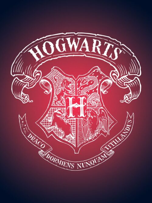 Harry Potter Witchcraft and Wizardry Poster