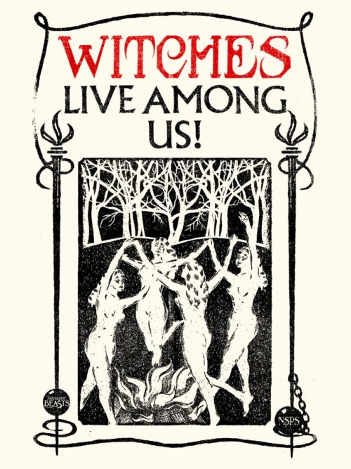 Harry Potter Witches live among us Poster