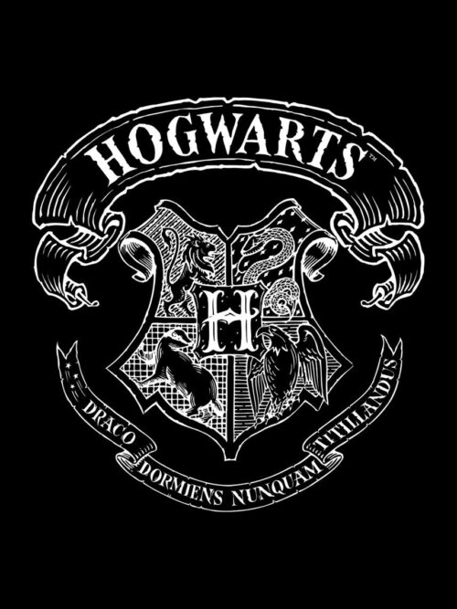 Harry Potter Wizarding School Poster