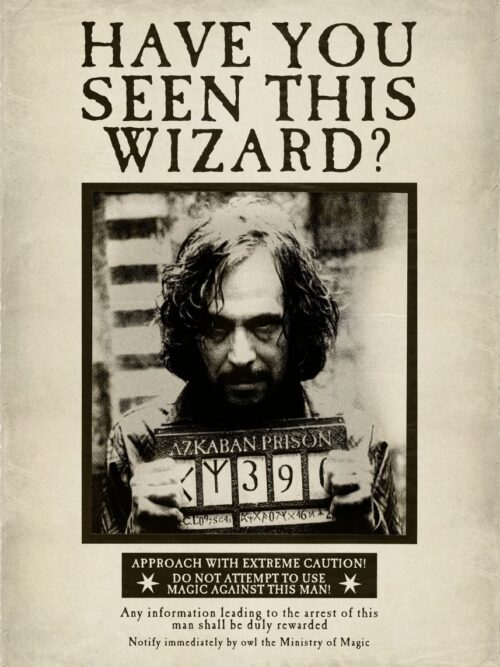 Have you seen this wizard Harry Potter Poster