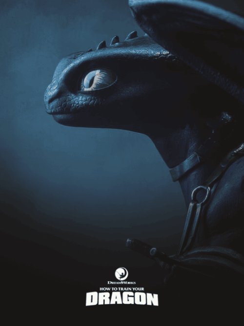 How to Train Your Dragon (2010) Poster
