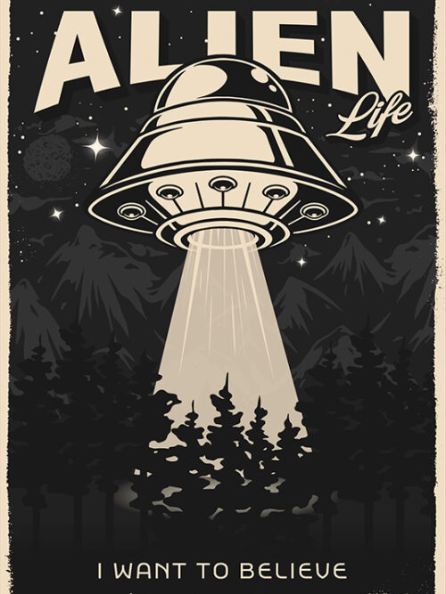 I want to Believe Alien Life Poster