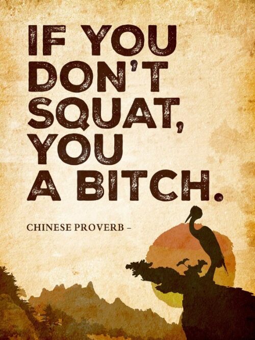 If You Dont Squat U Bitch Poster