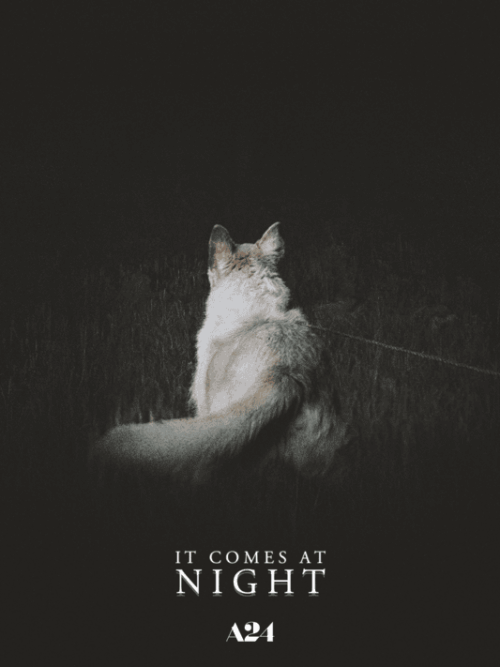 It Comes At Night 2017 Movie Poster
