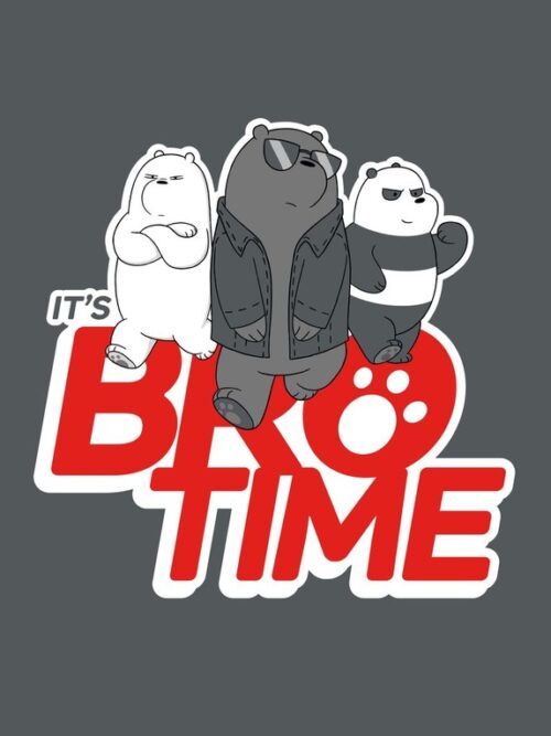 Its Bro Time We Bare Bears Poster