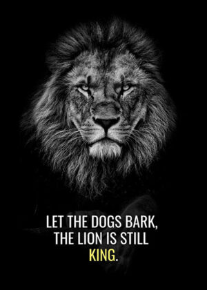 Let the dogs bark lion is still the king motivational Poster