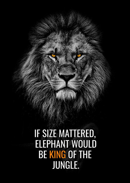 Lion is King of Jungle not Elephant animal motivational Poster