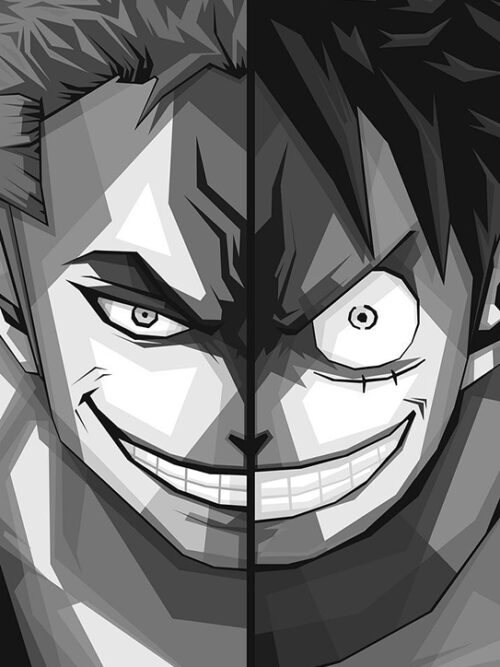 Luffy And Zoro Grey One Piece Pop art Poster