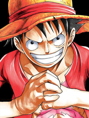 Monkey D Luffy One Piece Pop art Poster