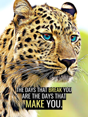 Never Break down animal motivational Poster