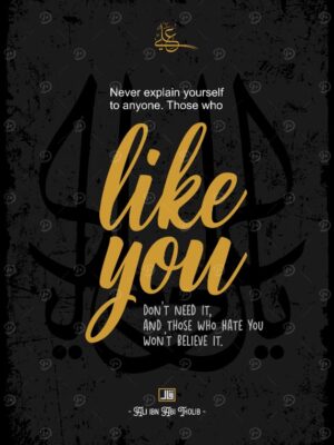 Never Explain Yourself Poster