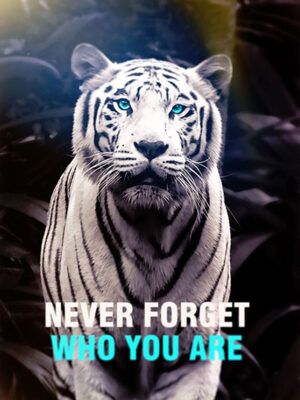 Never forget who you are animal motivational Poster