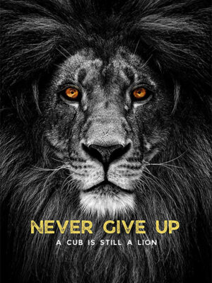 Never Give Up animal motivational Poster