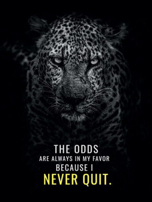 Never Quit and Odds will be your Favour animal motivational Poster