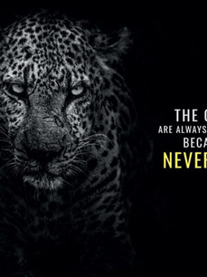 Never Quit animal motivational Poster