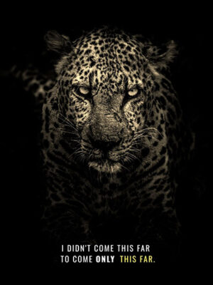 Never Settle motivational Poster