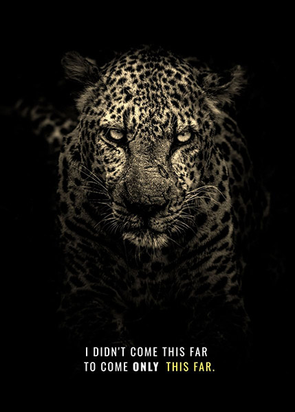 Never Settle motivational Poster