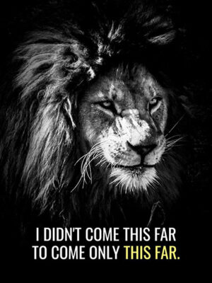 Never Stop animal motivational Poster