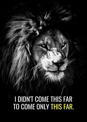 Never Stop animal motivational Poster