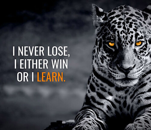 I Never Lose I either Win or I Learn Animal motivational Poster