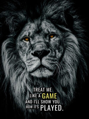 Never treat me like a game animal motivational Poster