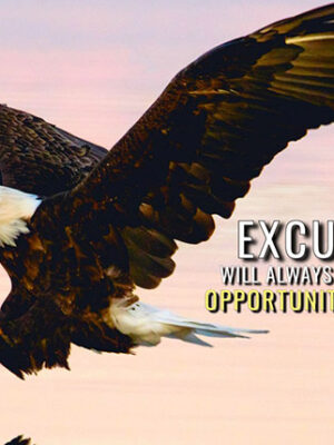 No more Excuses animal motivational Poster